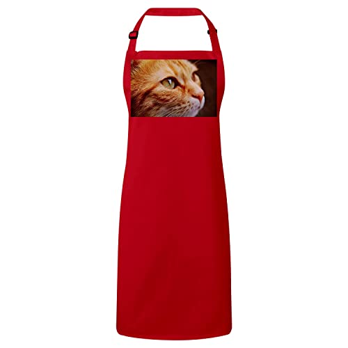Tablier cuisine chat roux pour cuisiner avec passion et élégance