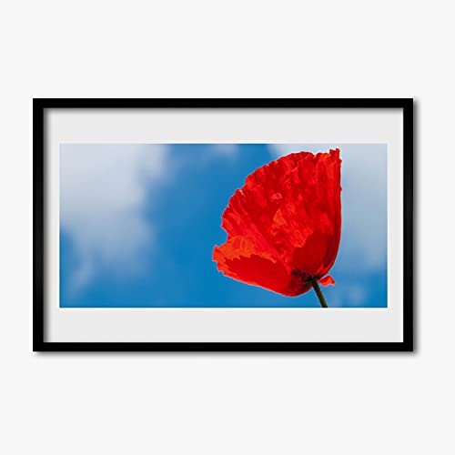 Affiche avec cadre Tulup tulipe sur le mur image pour salon et chambre