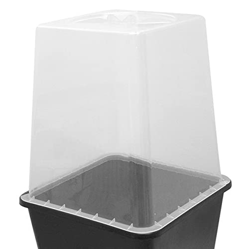 Couvercle Serre pour Pot carré 11L CIS