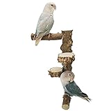 jaula noble loro Pasillo de molienda PAW Perrácea de arena de Parrot proporciona un excelente ejercicio de pie y uñas recortadas naturalmente, seguridad para masticar también, las superficies ásperas para darle a su ave un agarre con un cómodo controlado que condiciona los pies de su ave.