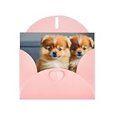 cuccioli pomerania toy in vendita Creazione con design vuoto: un biglietto di auguri vuoto con stampa di cuccioli di Pomerania e punto è una tela emotiva, dove puoi essere creativo. Ogni tratto è un simbolo emotivo unico, che rende la benedizione più personalizzata.