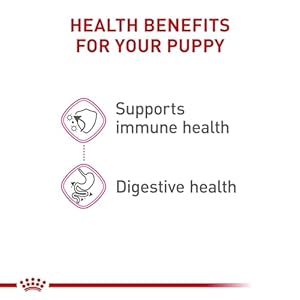 Royal Canin Canine Health Nutrition Puppy Canned Dog Food, 13.5 oz can (6-pack)