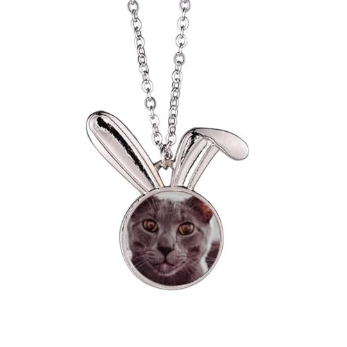 Collier pendentif lapin photo chat gris grand œil anti-ternissement