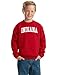 State of Indiana College Style White Fashion Unisex Boys Girls Crewneck Graphic Sweatshirt, Red, Medium