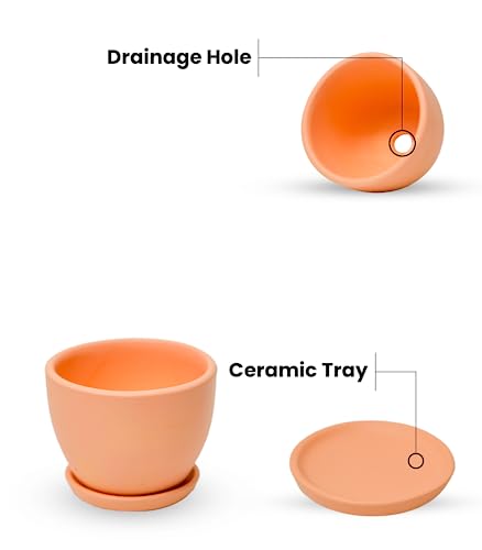 Image of Nurturing Green Set of 2 Modern Blush Pink Ceramic Pots (Plants Not Included) for Home, Indoor Decor & Gifting (Size: Small (4.25 Inch Wide) | Comes with Bottom Plates)