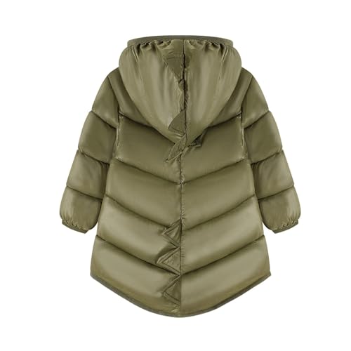 wodceeke Toddler Boys Girls Dinosaur Puffer Jacket Down Winter Coats Kids Hooded Padded Warm Bubble Outwear 2-9 Years3