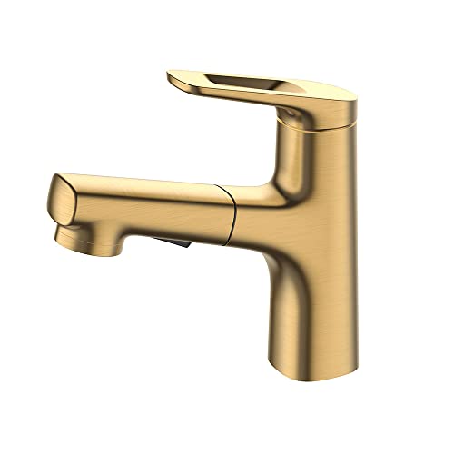 QTANZIQI Single Hole Bathroom Faucet with Drain, Pull-Down Sprayer, Cold Water Mixer Tap for Sink, Monoblock, No Overflow, Ideal Washbasin and Vanity.