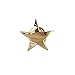 Forge Gold Star Lapel Pin- 1 Piece