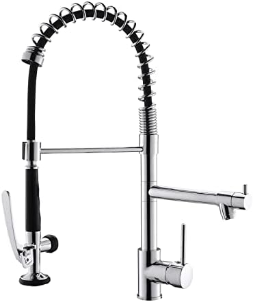 Fapully Chrome Kitchen Faucet with Sprayer,Commercial Single Handle Pull Down Kitchen Sink Faucet