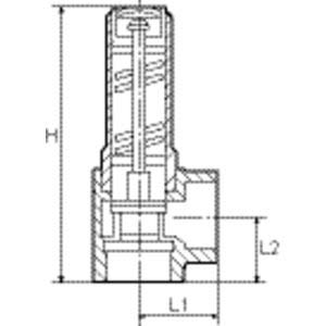 RIEGLER 117645-222.08-2.0 - Válvula de seguridad esquinera, vapor saturado, G 2, presión de respuesta 2 bar, 1 unidad