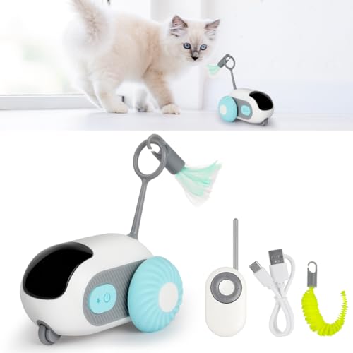 Interaktives Katzenspielzeug mit Fernbedienung, Intelligenter Katzenball mit 2 Modi, Intelligentes Elektrisches Mouse Haustierspielzeug mit Fernbedienung, USB Wiederaufladbar, Geschenke für Katzen Interaktives Katzenspielzeug mit Fernbedienung, Intelligenter Katzenball mit 2 Modi, Intelligentes Elektrisches Mouse Haustierspielzeug mit Fernbedienung, USB Wiederaufladbar, Geschenke für Katzen