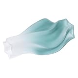 Vase décoratif : un vase de composition parfait ou un récipient pour plantes hydroponiques pour un usage professionnel et personnel, vase en verre délicat