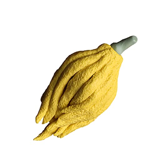 Décoration boutique plateau de thé chayote simulation pour jeu de thé - 2