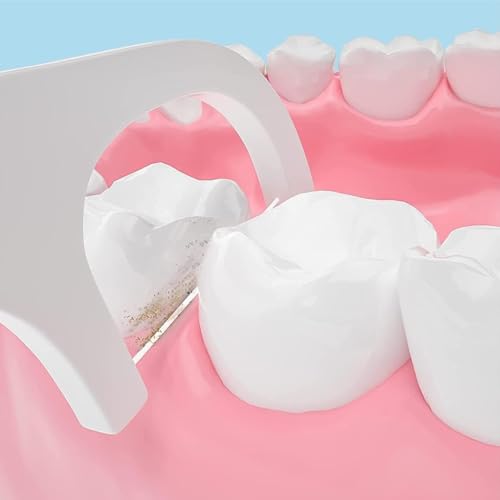 Image of Carrot - 3 in 1 Tooth Cleaning Fresh Dental Floss,Oral Care Teeth Flossing Thread Toothpicks Stick Set for Fresh, Healthy and Breath Gums (PACK OF 50)