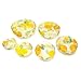 NORPRO 528 6-Piece Plastic Bowl Cover