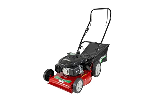 Cortador de Grama a Gasolina com Recolhedor 6.5HP GR-6500C - Garthen
