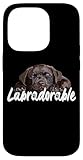 Regalo di laboratorio di cioccolato per donne, mamma, ragazza, madre, mamma di laboratorio, ragazza di laboratorio, madre labrador, madre labrador, mamma labrador, mamma choc laboratorio, mamma da laboratorio marrone, papà di laboratorio, padre labrador, papà labrador, papà laboratorio di cioccolato e papà di laboratorio marrone e amante del labrador retriever marrone.