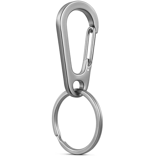 GyOnyx Silver Durable 304 Stainless Steel Keychain, Quick Release Heavy Duty Carabiner Clip for Home, Motorcycle, Car Key Chain Rings Kit