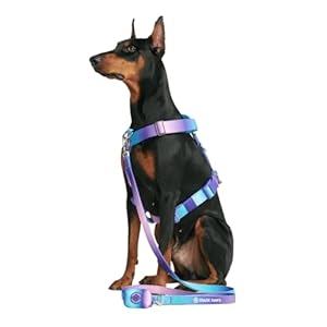 Spark Paws No-Pull Dog Harness – Designed for Safety and Control, Ideal for Large, Strong Breeds – Pitbulls, Boxers – 90s Retro, S