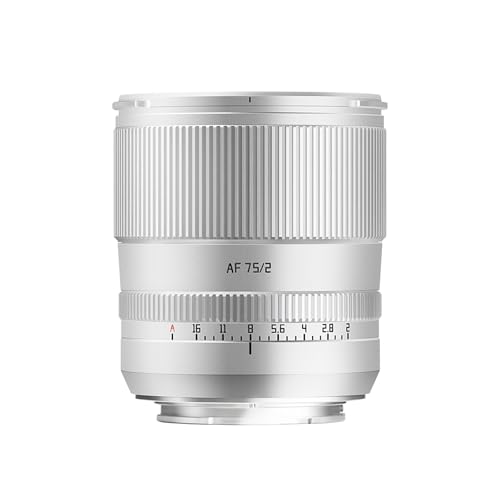 Objectif TTARTISAN AF 75 mm F2 grand angle d'ouverture portrait net pour Sony E