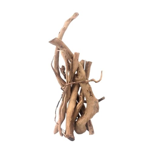 AquaOne Aquarium Moorkien Scape Sticks 100 g (10-25 cm) I Naturholz für Aquascaping & Aquarium Dekoration I Nano Becken Aquarien Terrarien Hardscape Zubehör