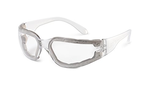 Gateway Safety 46FP79 Starlite FoamPRO Safety Glasses, Clear Anti-Fog Lens, One Size, Clear Temple (Pack of 10)