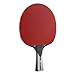 JOOLA 54206 Carbon X Pro - Raqueta de ping pong...