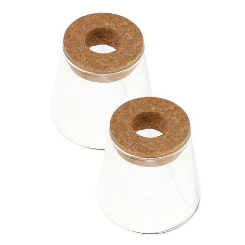 LIFKOME 2 Piezas Jarrones Hidropónicos de Vidrio con Tapa de Corcho Macetas para Plantas de Interior Terrarios Decorativos Modernos para Hogar y Oficina