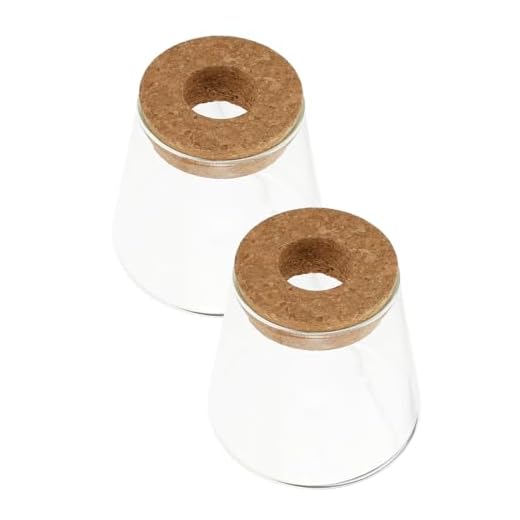 LIFKOME 2 Piezas Jarrones Hidropónicos de Vidrio con Tapa de Corcho Macetas para Plantas de Interior Terrarios Decorativos Modernos para Hogar y Oficina