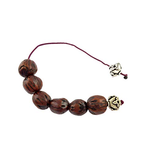 Begleri grec fait main avec graines aromatiques de noix de muscade de couleur marron