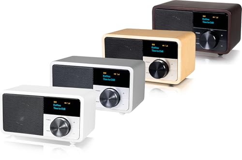 Radio Dab+ Portable Bluetooth KATHREIN Mini argent compacte puissante