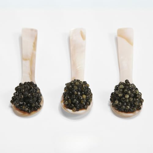 ẼǑ iJ v~A LrA XyCY ubNLrA 20gbYEM ^󕕓bStbVb𓀁EቷEۂȂbO؁EJibyEiEpX^ɍœKbMtgBOXt TXeiuȃOHށyCaviar Naccari