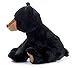 The Petting Zoo Black Bear Stuffed Animal, Gifts for Kids, Wild Onez Zoo Animals, Black Bear Plush Toy 12 inches