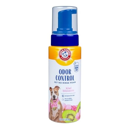 Arm & Hammer Odor Control No-Rinse Dog Foam, Kiwi Blossom, 8 Fl Oz