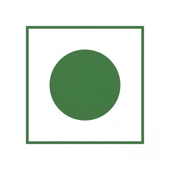 Paan Shots| Instant Paan Mouth freshener Mukhwas | Pan Flavor Candy Balls, Paan goli (100grams)