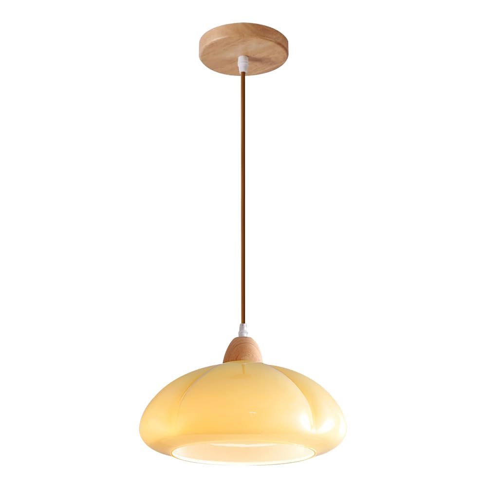 KBUUKYYXouy E27 Base Single-Head Chandelier, Industrial Style Glass Pendant Lampshade, Ceiling Lighting Fixtures, Living Room, Dining, Hallway Decorative Hanging Light