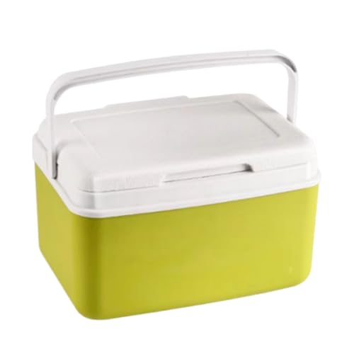 Camping Cooler Box,6L/9L Insulated Cool Box,Portable Car Cooler For