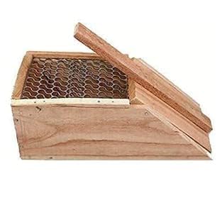 K N Handicraft Present Best Rat Trap (Brown) (B0BMN9PYZ5) Amazon Price History, Amazon Price Tracker