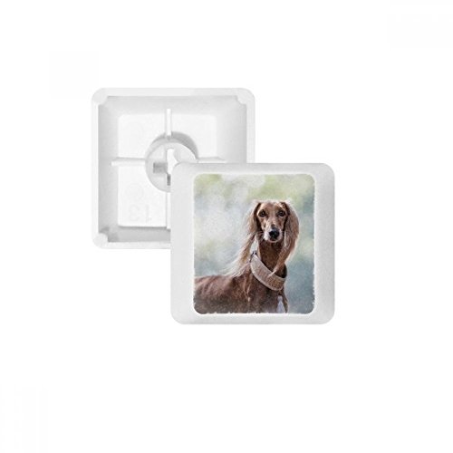 Keycaps PBT Chien Long Cou pour clavier mécanique : l'art du setup épuré
