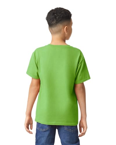 Image of Gildan Big Boys' Heavyweight Taped Neck Comfort T-Shirt, Medium, Lime