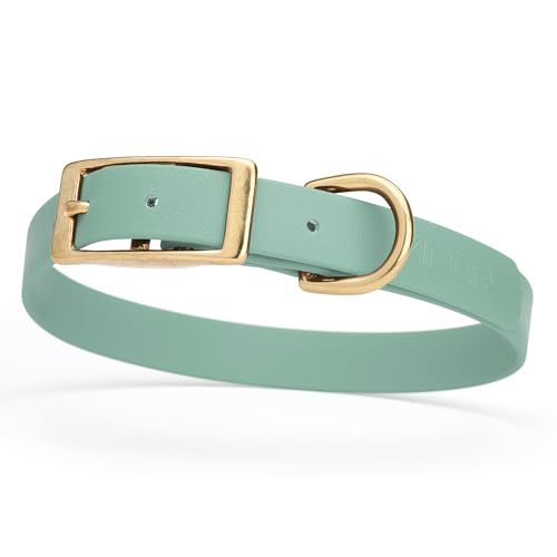 Image of Viper Biothane Heavy Duty Waterproof Dog Collar Strong Coated Nylon Webbing w /Solid Brass Hardware Odor-Proof Easy to Clean High Performance Fits Small Medium or Large Dogs, Sage Green