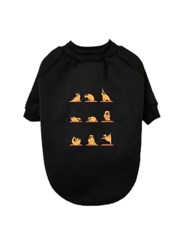   pO K  ybg hbOEFA ̕ L ybgEFA h _炩 іh~   t@bV U ybgpi