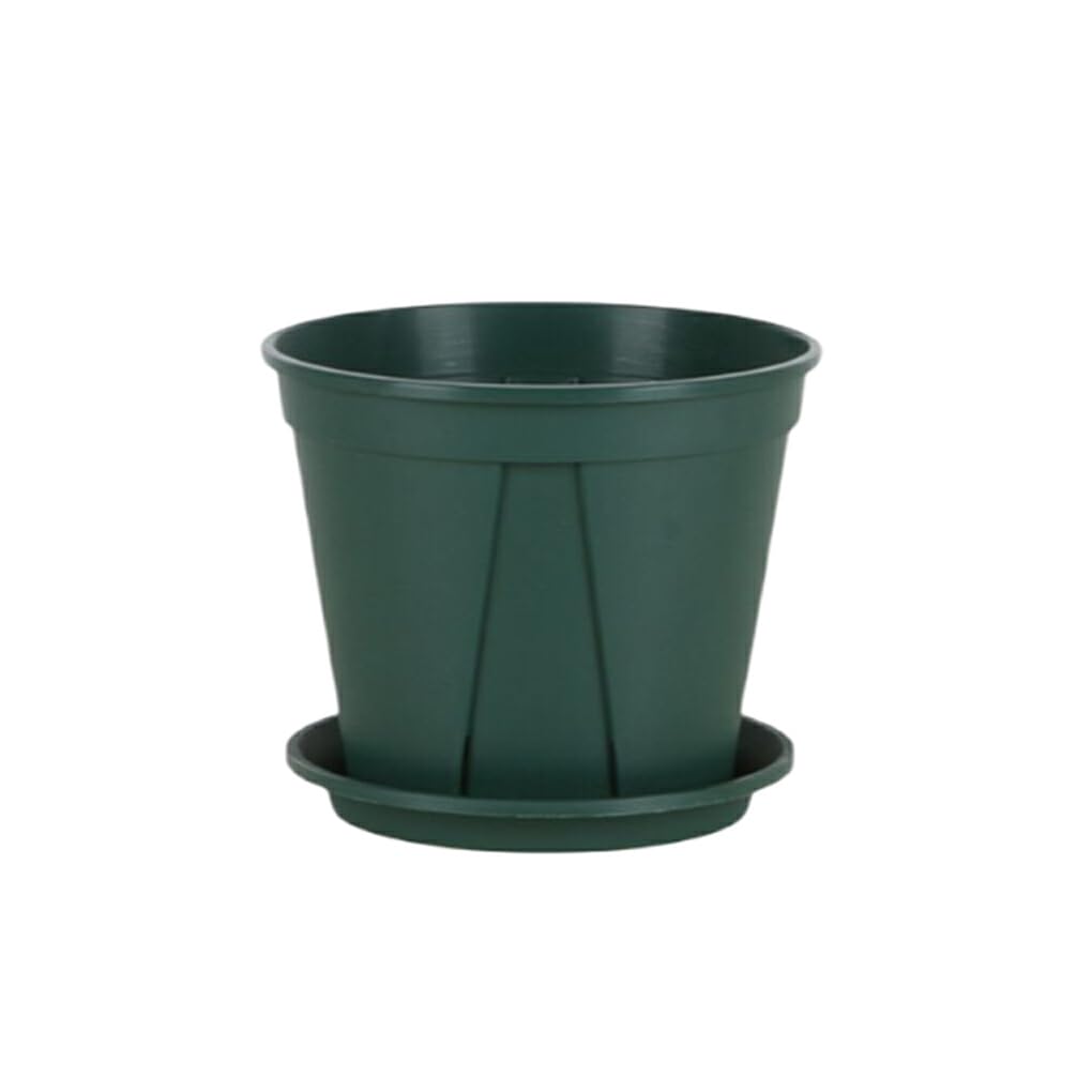 Maceta de plástico con platillo Jardín Raíces-Control Vivero Maceta Suculenta Maceta para Interior Orquídea, 15cm