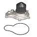 ACDelco 252-725 Professional Water Pump