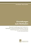 Einstellungen zum Methadon: Typische Einstellungen der Patienten inMethadon-Substitutionsbehandlung, typische Patientengruppen und Unterschiede zu den Behandelnden