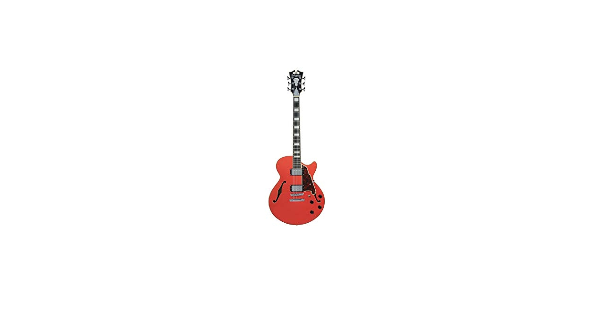 Amazon.com: D'Angelico 12 String Semi-Hollow-Body Electric