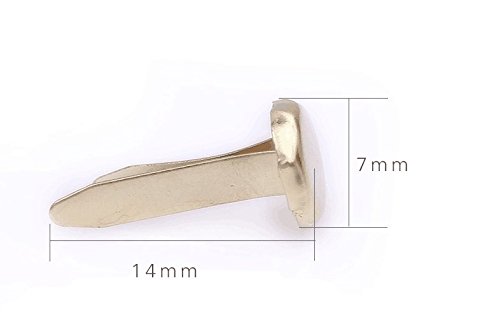 EBTOYS 200pcs Paper Fasteners Brass Fasteners Scrapbooking Brads Metal Brads with Storage Box for Crafts Making DIY (Colorful)