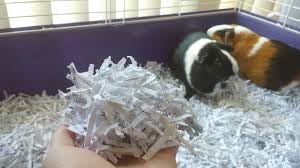 Lifestyle Paper Shaving Bedding for Hamster, Dwarf, Mice, Gerbil,Rat,Cat,Dog Rabbit and Guinea Pig, Brown, 1kg-image-31