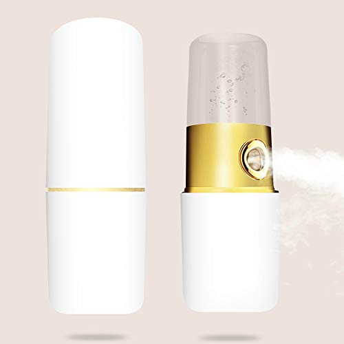 Nano Mister Portable Facial Sprayer Handy Mini Face Mist Atomization Eyelash Extensions Rechargeable Cool Facial Steamer, Soundance White