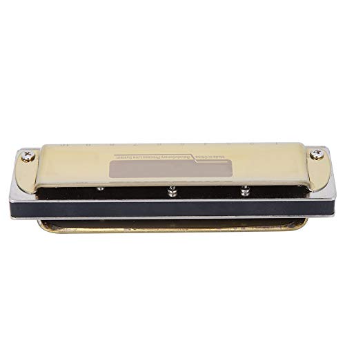 Harmonica, 10 Trous Harmonica Blues F Key Harpe Instrument de Musique à Vent Débutant Pratique Harmonica Instrument… - Les Beatles, Paul McCartney, John Lennon, RIngo Starr, George Harrison Harmonica, 10 Trous Harmonica Blues F Key Harpe Instrument de Musique à Vent Débutant Pratique Harmonica Instrument…